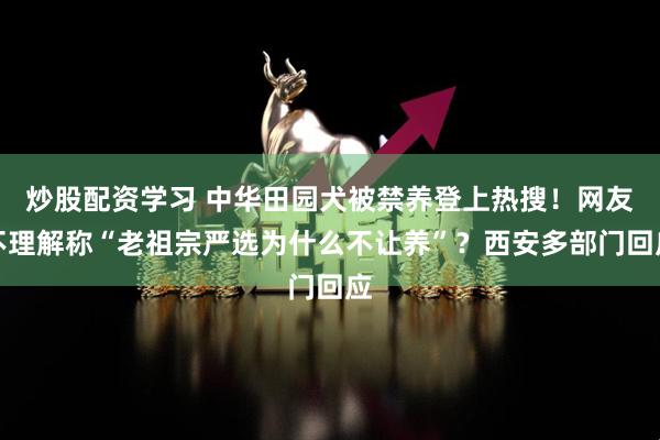 炒股配资学习 中华田园犬被禁养登上热搜！网友不理解称“老祖宗严选为什么不让养”？西安多部门回应