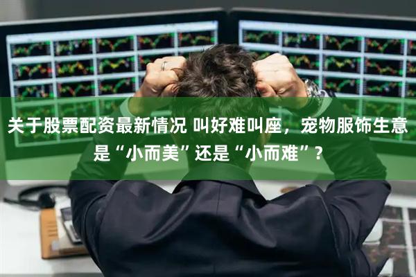 关于股票配资最新情况 叫好难叫座，宠物服饰生意是“小而美”还是“小而难”？