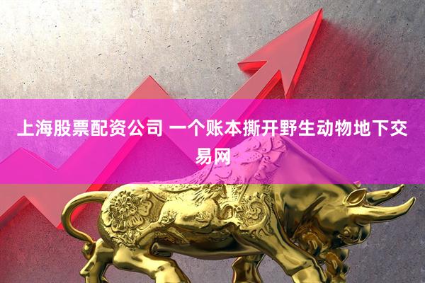 上海股票配资公司 一个账本撕开野生动物地下交易网