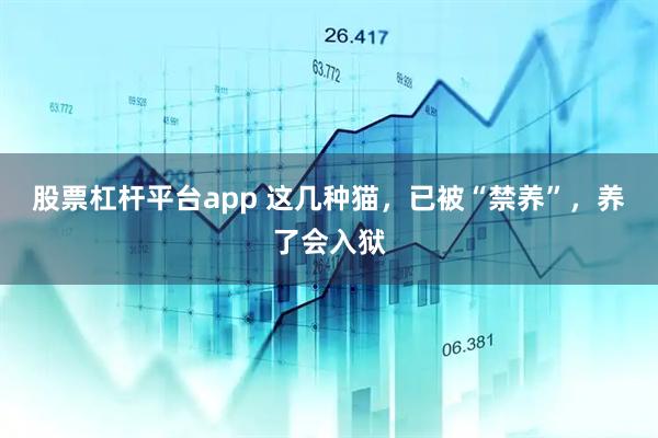 股票杠杆平台app 这几种猫，已被“禁养”，养了会入狱
