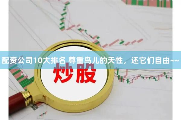 配资公司10大排名 尊重鸟儿的天性，还它们自由~~