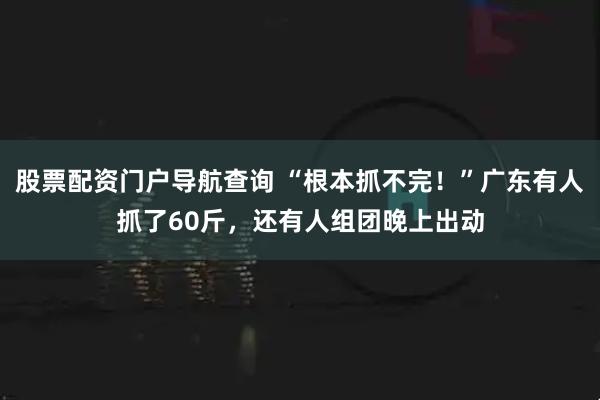 股票配资门户导航查询 “根本抓不完！”广东有人抓了60斤，还有人组团晚上出动