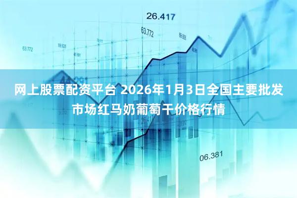 网上股票配资平台 2026年1月3日全国主要批发市场红马奶葡萄干价格行情
